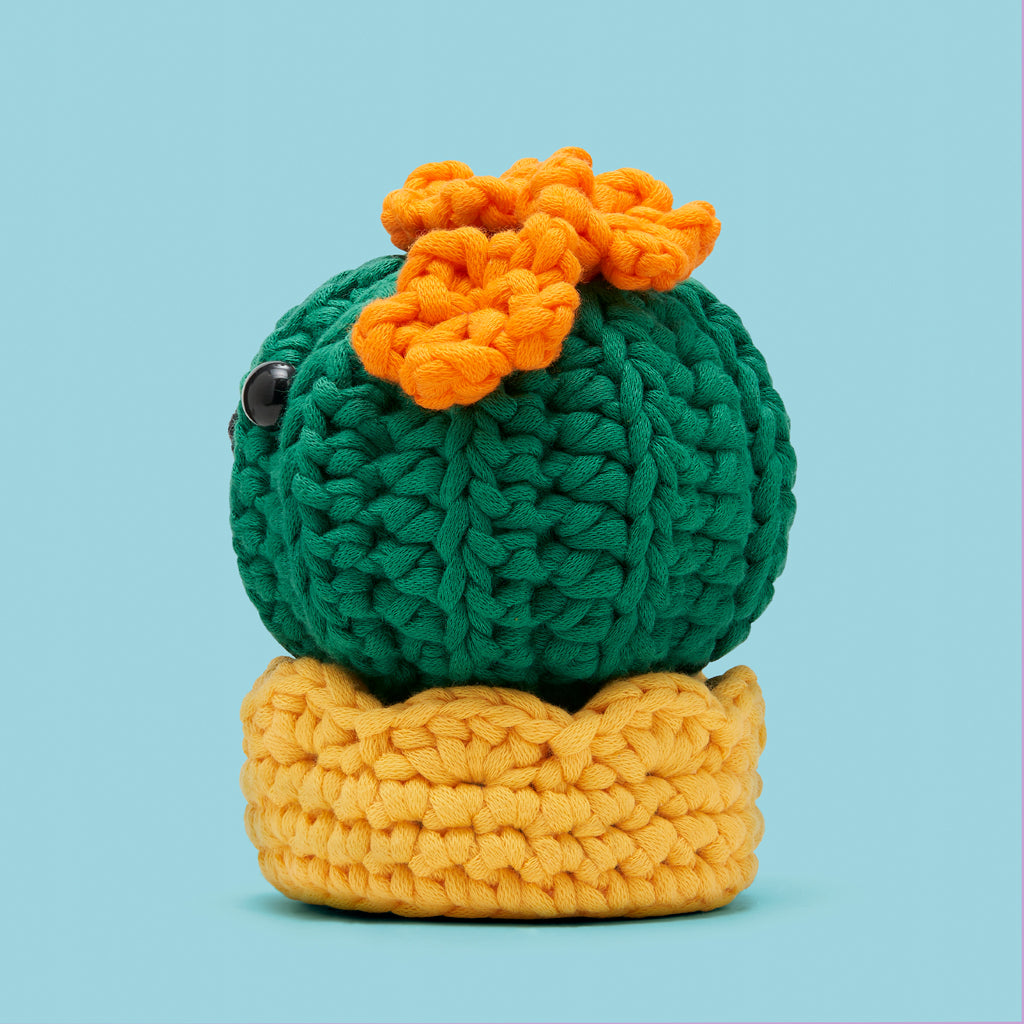 Wooble Where You're Planted Bundle - Ready with Yarn