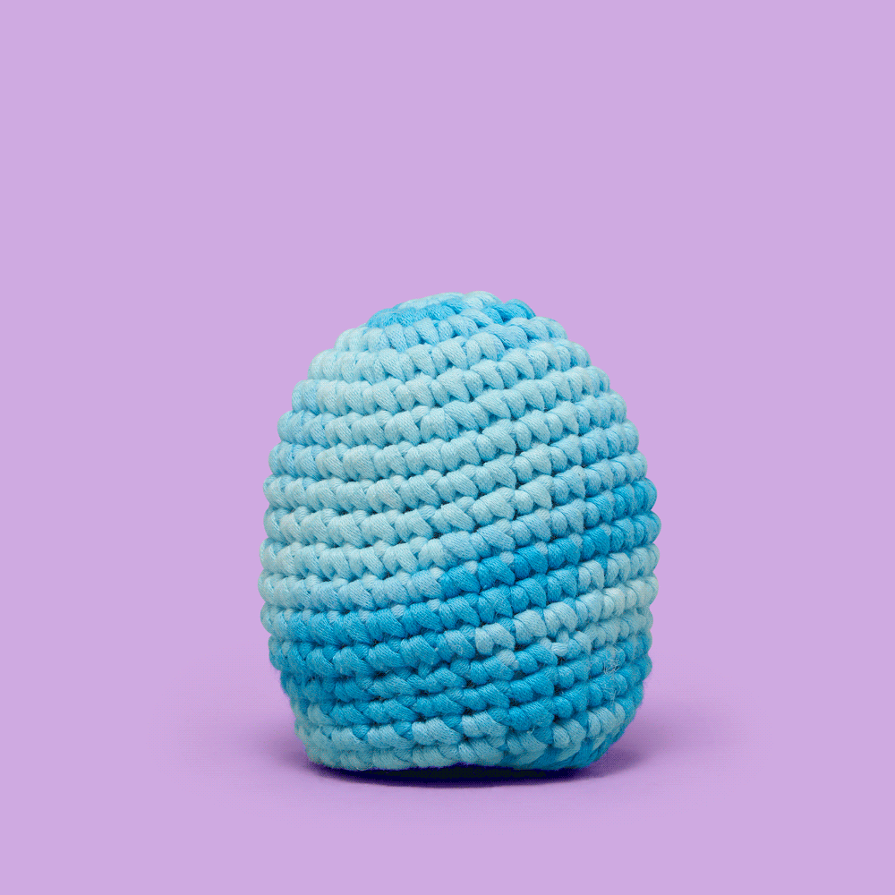 Nova the Blue Jay Crochet Kit - Wooble Small