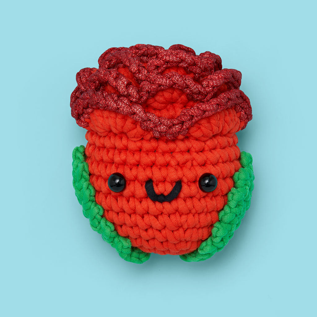 Bloomin’ Brilliant Flower Box - Beginner Stitch Fun