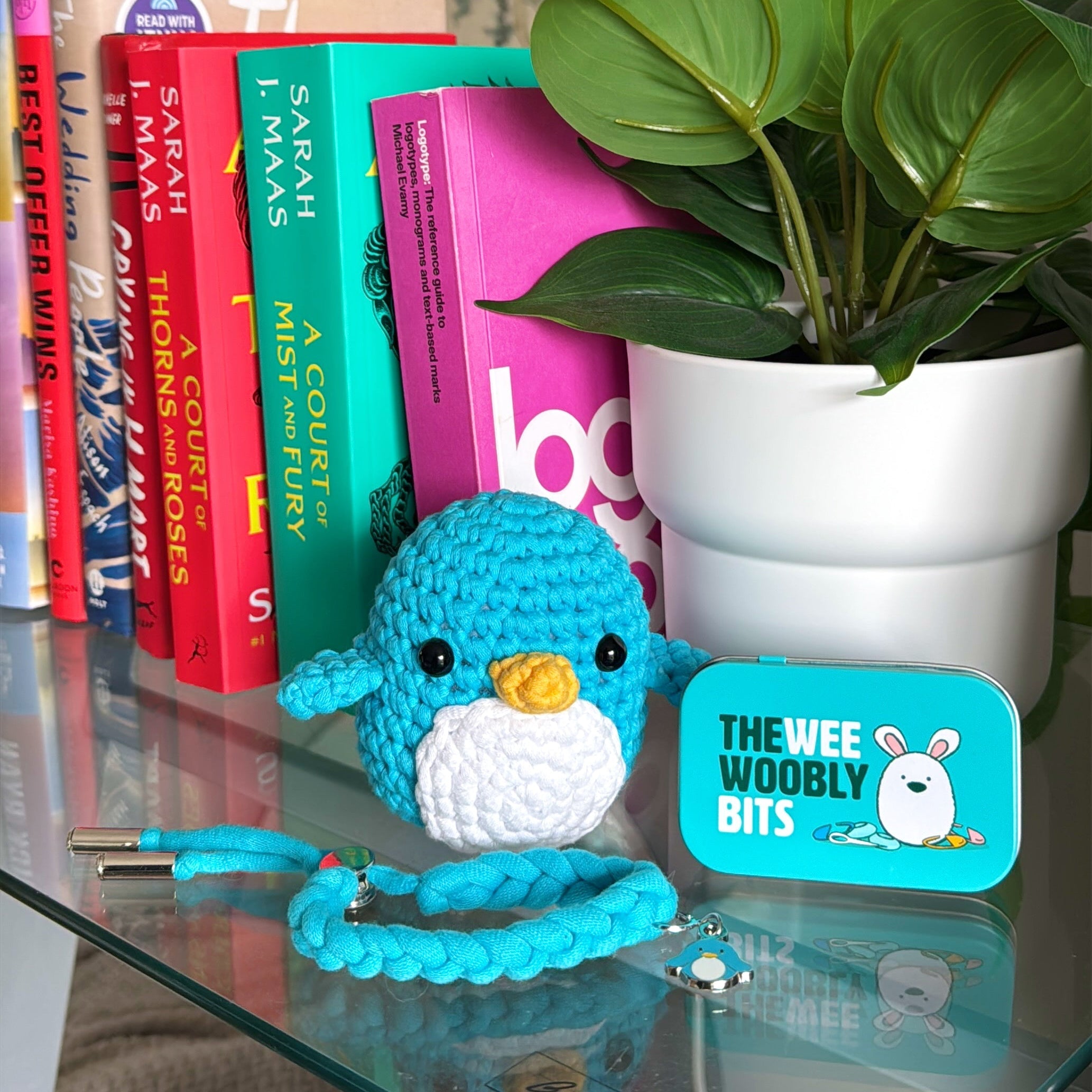 Pierre the Penguin Crochet Kit - Step-by-Step Crochet