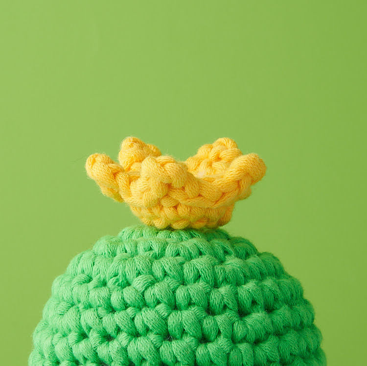 Tiny Crown Accessory Kit - Wooble Small
