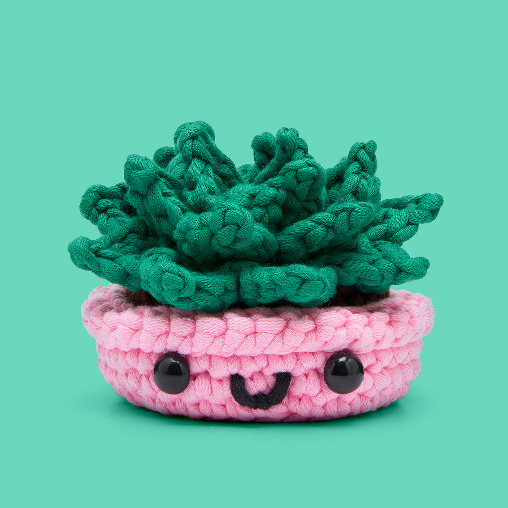 Jade the Succulent Crochet Kit - Cute. Cozy. Creative.