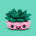 Jade the Succulent Crochet Kit - Cute. Cozy. Creative.