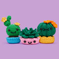 We'll Never Desert You Bundle - Crochet Confidence Starts Here