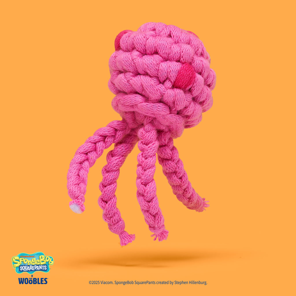 From the Bikini Bottom of Our Hearts Bundle - Crochet Starter Kit