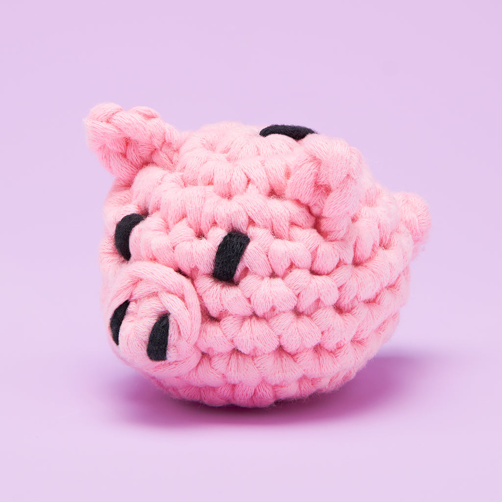 Tiny Piggy Bank Accessory Kit - Easy Step Crochet
