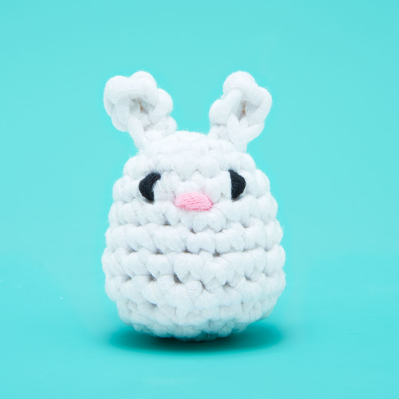 Itty Bitty Wittle Bunny Accessory Kit - Learn Cute Stitches