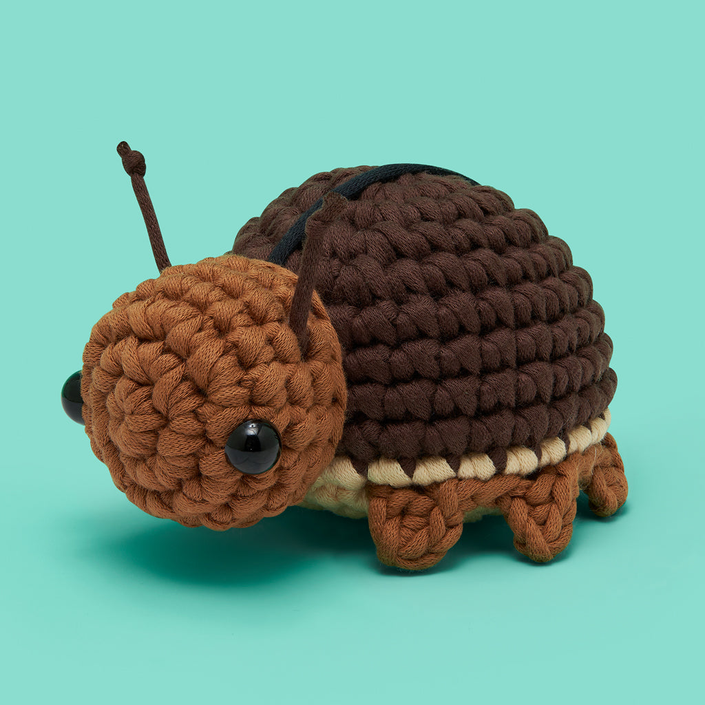 Bun and Only Bundle - Craft at Home