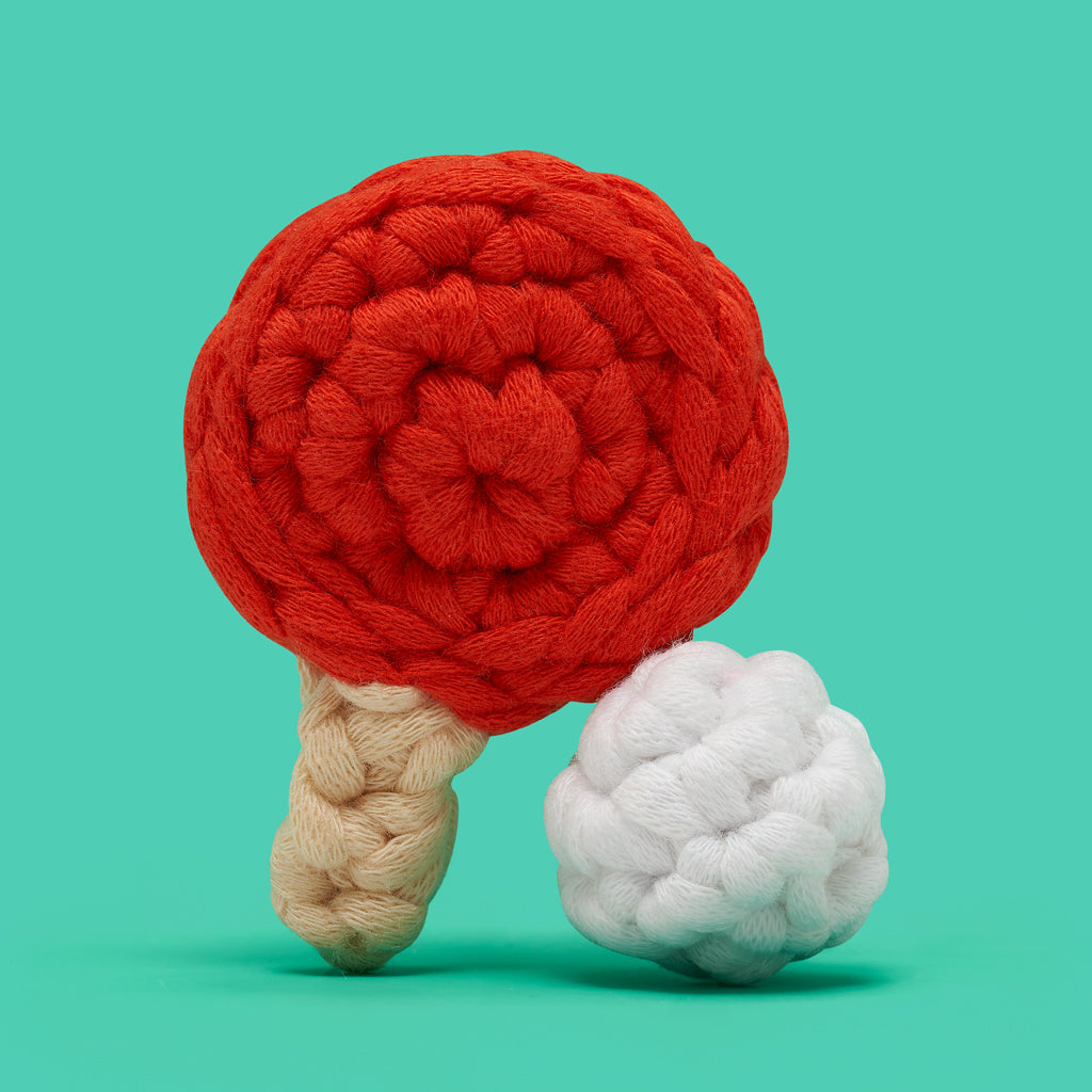 Tiny Ping Pong Set Accessory Kit - Easy Crochet Kits