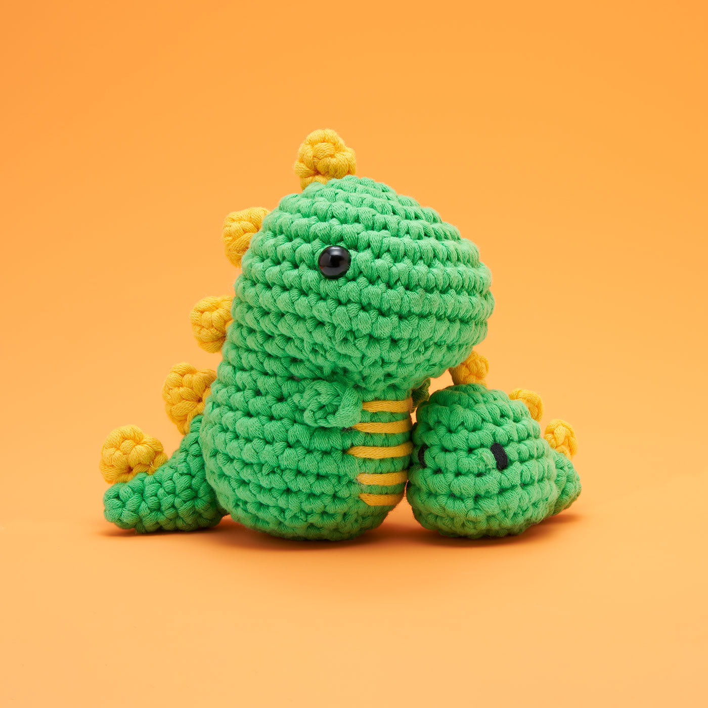Wee Rex Accessory Kit - Small Project Fun