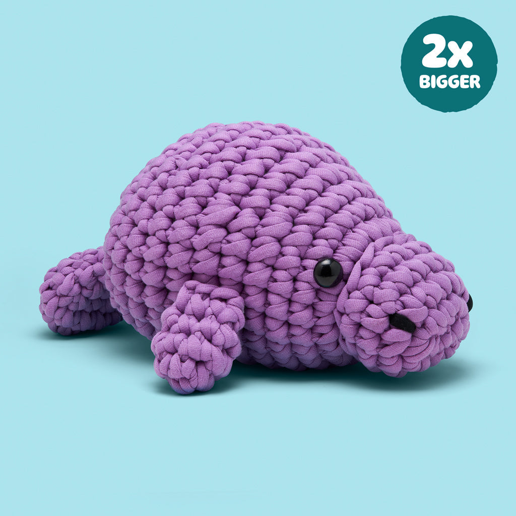 Extra Extra Squeeze All About It Bundle - Beginner Craft Fun