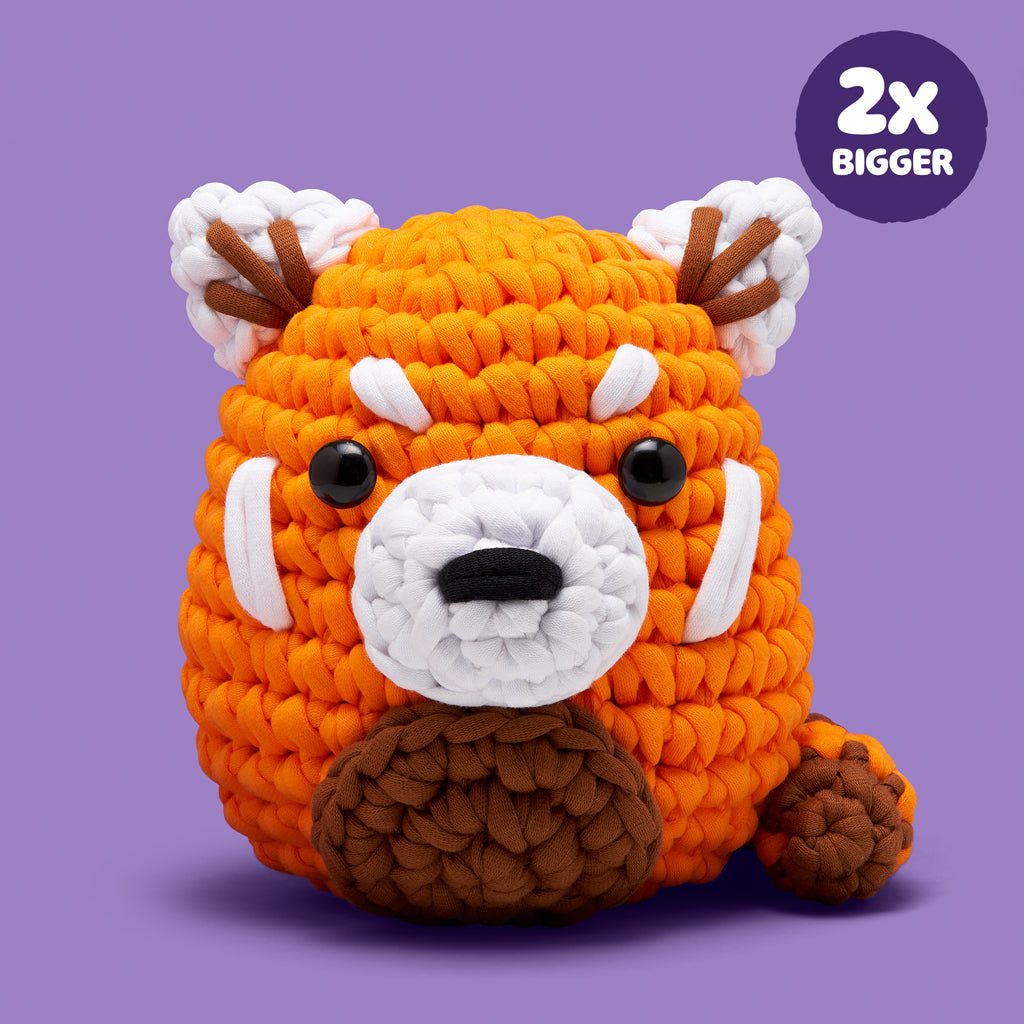 Extra Extra Squeeze All About It Bundle - Beginner Craft Fun