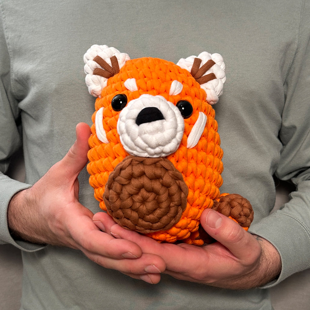 Extra Extra Squeeze All About It Bundle - Beginner Craft Fun