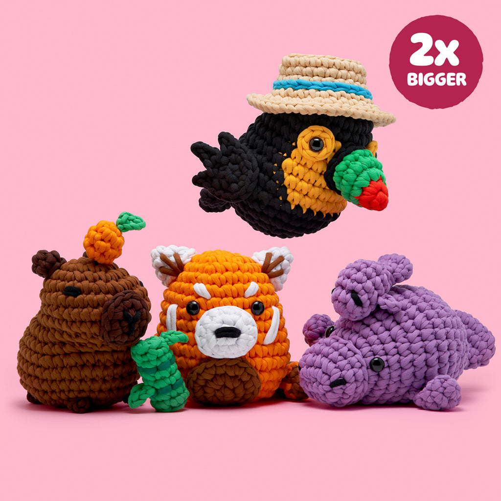 Extra Extra Squeeze All About It Bundle - Beginner Craft Fun