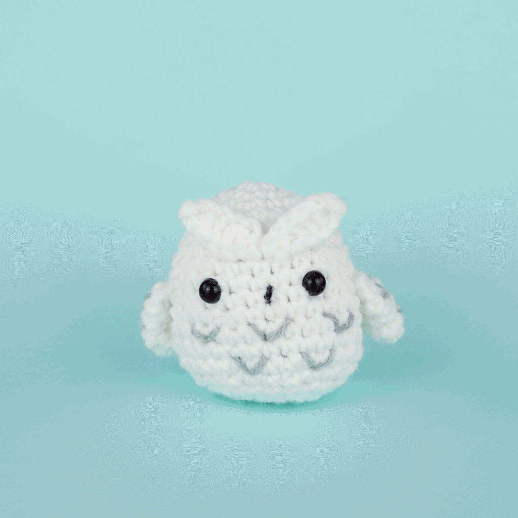 Andy the Owl Crochet Kit - Crochet Starter Kit