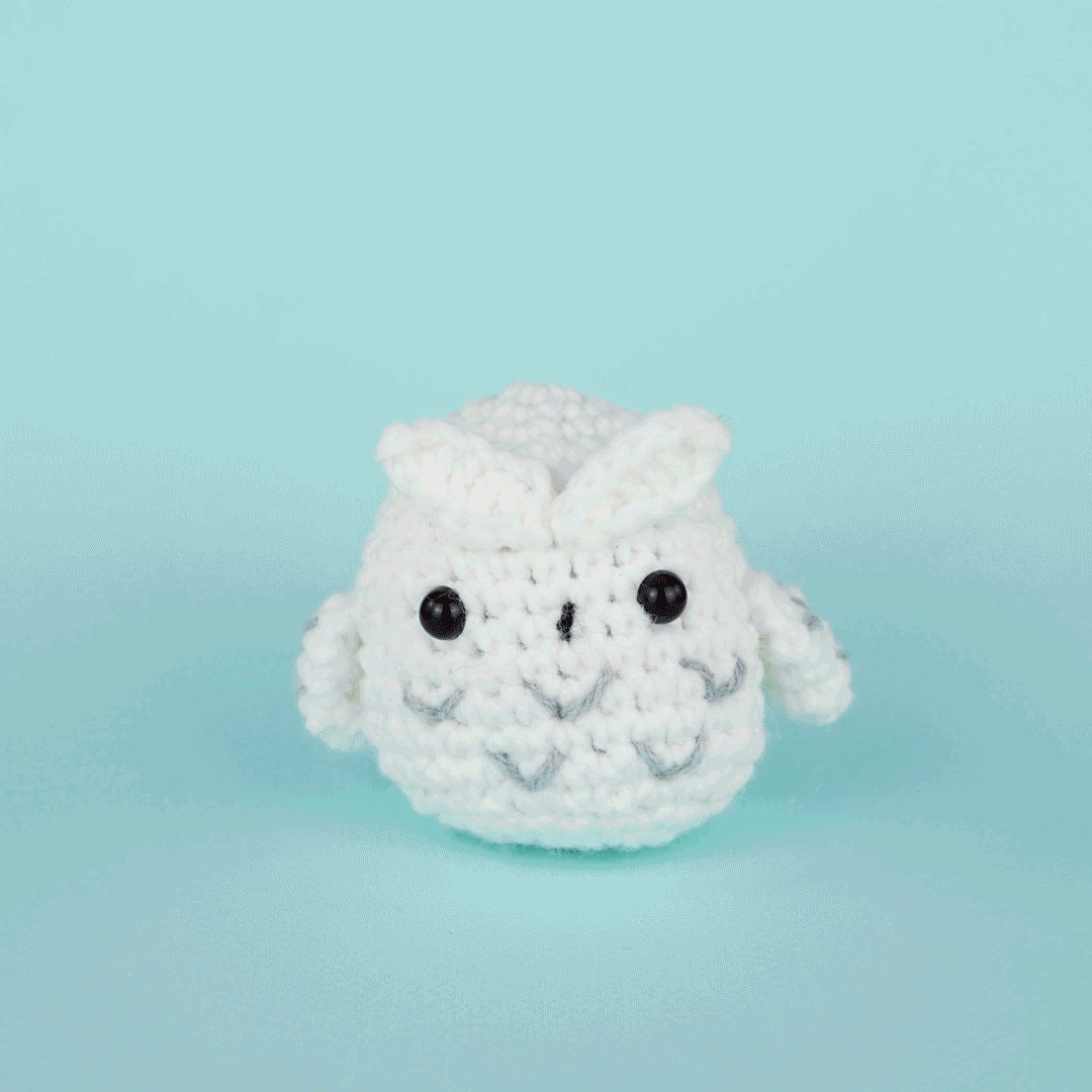 Andy the Owl Crochet Kit - Crochet Starter Kit
