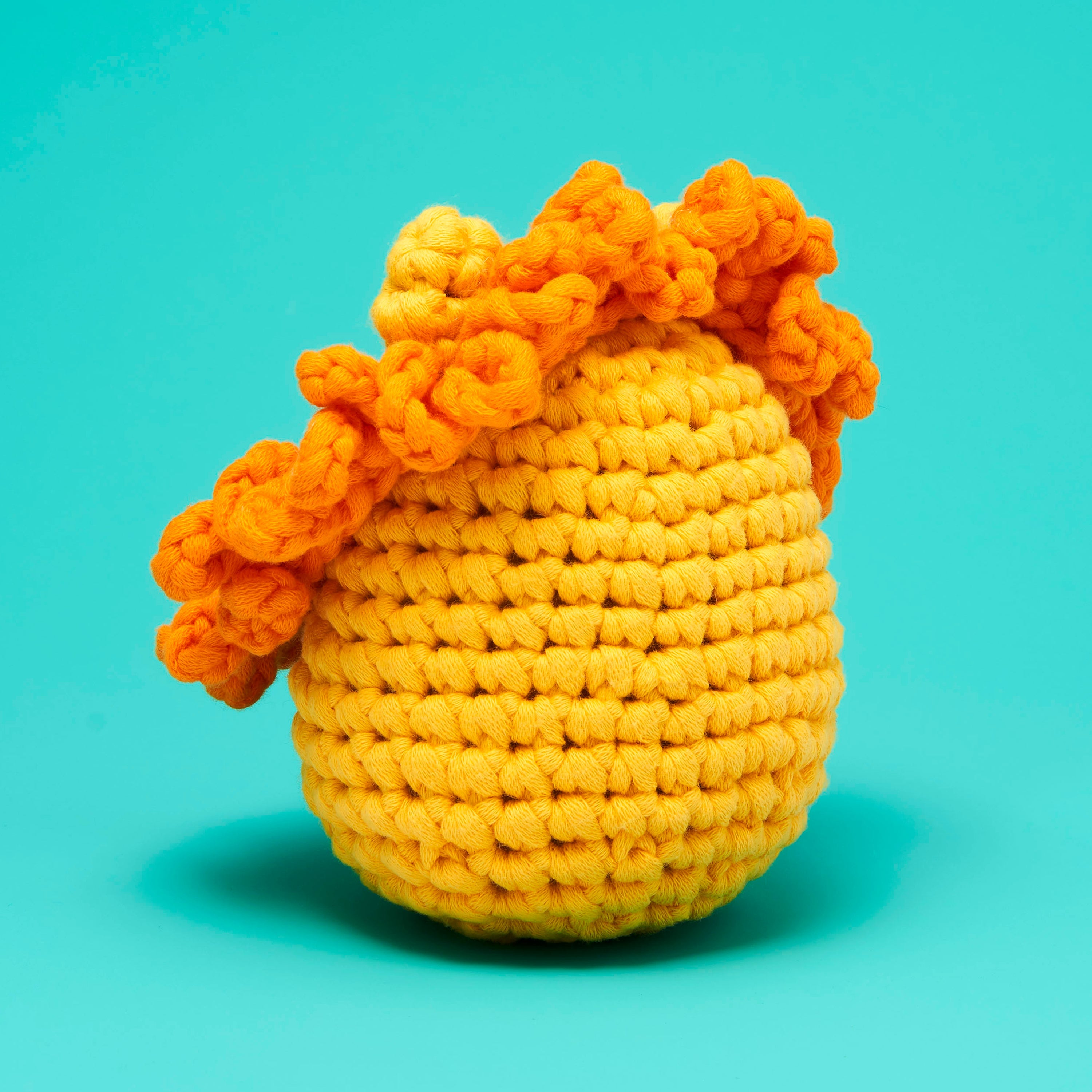 Sebastian the Lion Crochet Kit - First Crochet Project